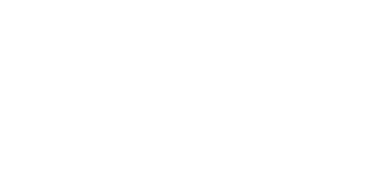 JDE Professional